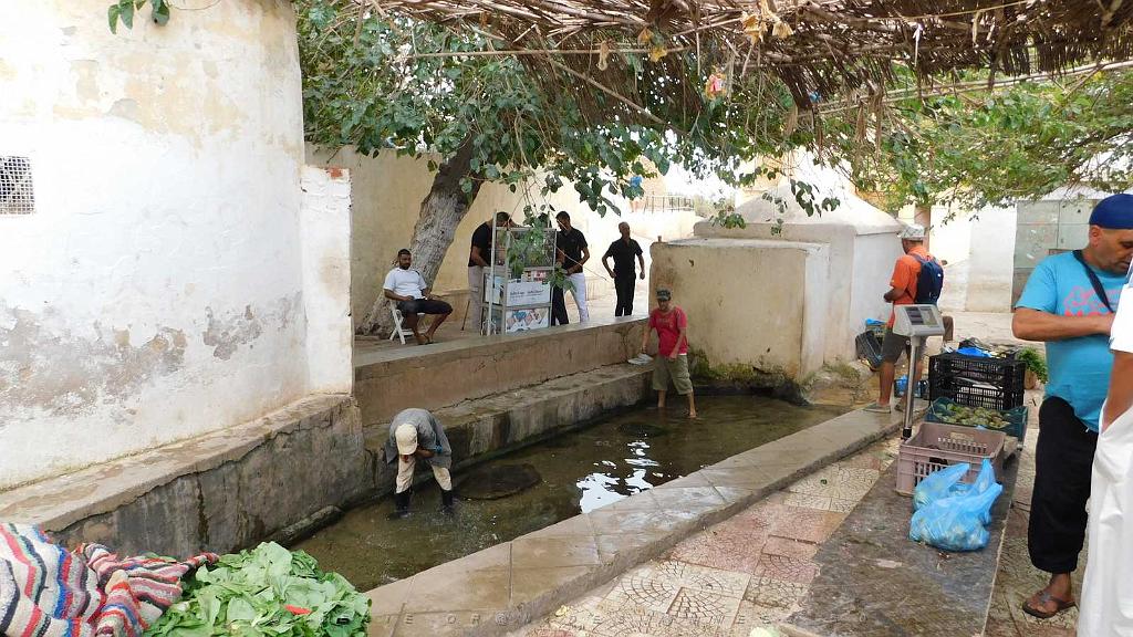 VOYAGE EN ORANIE DU 15 AU 22 SEPTEMBRE 2017 (237).JPG -           